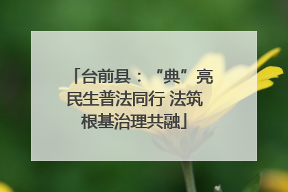 台前县：“典”亮民生普法同行 法筑根基治理共融