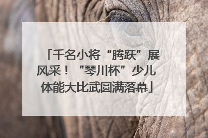 千名小将“腾跃”展风采！“琴川杯”少儿体能大比武圆满落幕