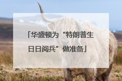华盛顿为“特朗普生日日阅兵”做准备