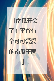 南瓜开会了！平谷有个可可爱爱的南瓜王国