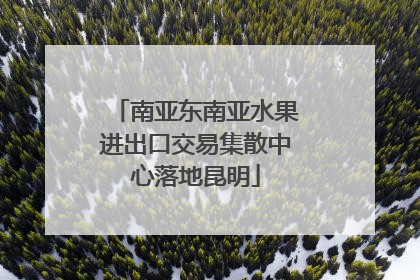 南亚东南亚水果进出口交易集散中心落地昆明