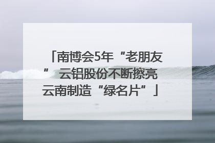 南博会5年“老朋友” 云铝股份不断擦亮云南制造“绿名片”