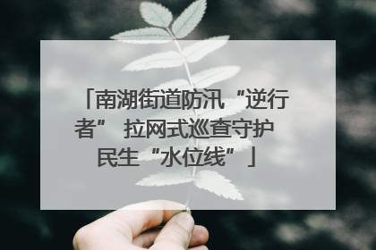 南湖街道防汛“逆行者” 拉网式巡查守护民生“水位线”