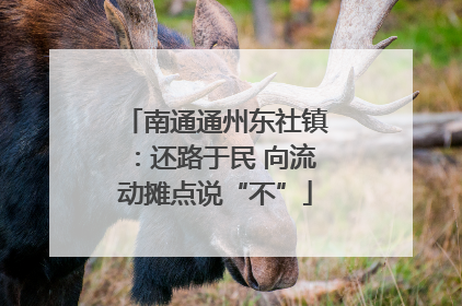 南通通州东社镇：还路于民 向流动摊点说“不”