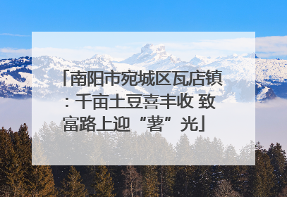 南阳市宛城区瓦店镇：千亩土豆喜丰收 致富路上迎“薯”光
