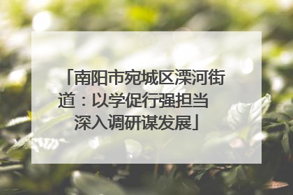 南阳市宛城区溧河街道：以学促行强担当 深入调研谋发展