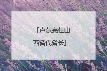 卢东亮任山西省代省长
