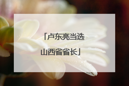 卢东亮当选山西省省长