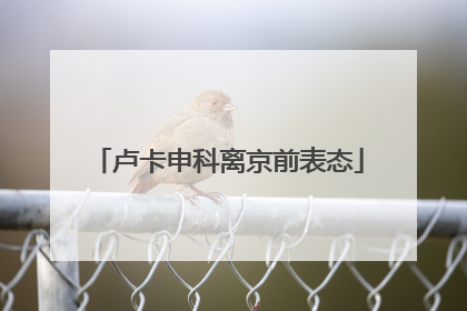 卢卡申科离京前表态