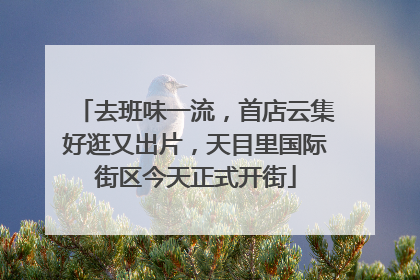 去班味一流，首店云集好逛又出片，天目里国际街区今天正式开街