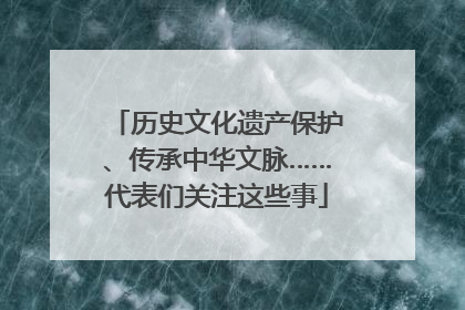 历史文化遗产保护、传承中华文脉……代表们关注这些事