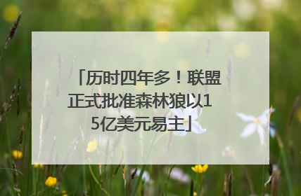 历时四年多！联盟正式批准森林狼以15亿美元易主