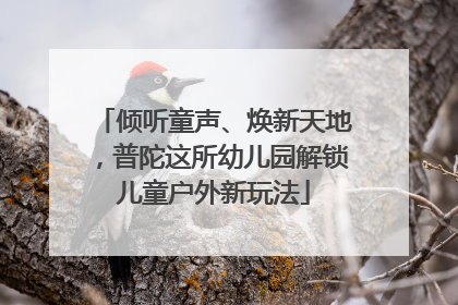 倾听童声、焕新天地，普陀这所幼儿园解锁儿童户外新玩法