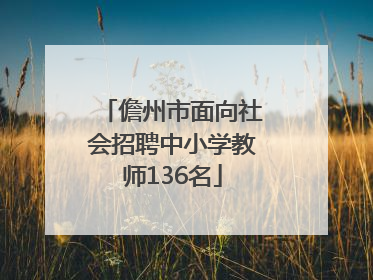 儋州市面向社会招聘中小学教师136名
