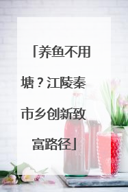 养鱼不用塘？江陵秦市乡创新致富路径