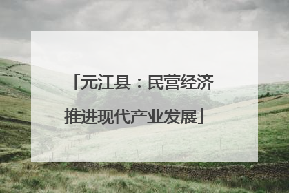 元江县：民营经济推进现代产业发展