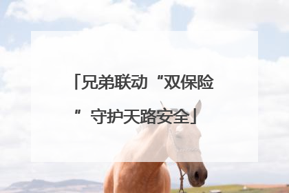 兄弟联动“双保险”守护天路安全