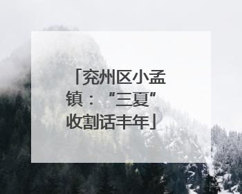 兖州区小孟镇：“三夏”收割话丰年
