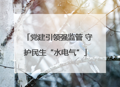 党建引领强监管 守护民生“水电气”
