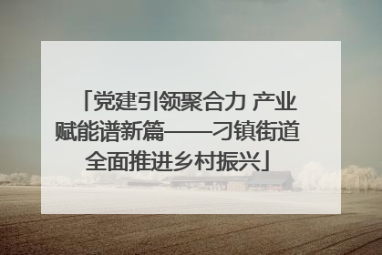 党建引领聚合力 产业赋能谱新篇——刁镇街道全面推进乡村振兴