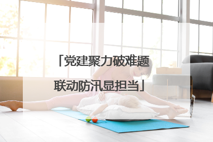 党建聚力破难题 联动防汛显担当