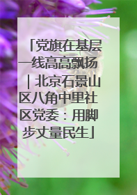 党旗在基层一线高高飘扬｜北京石景山区八角中里社区党委：用脚步丈量民生
