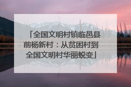 全国文明村镇临邑县前杨新村：从贫困村到全国文明村华丽蜕变