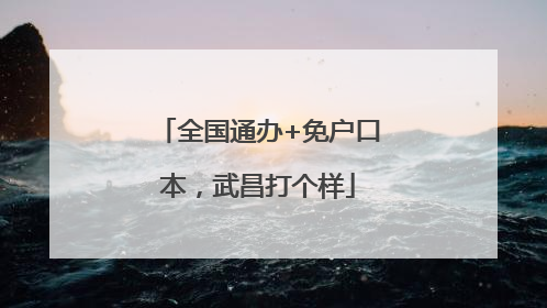 全国通办+免户口本，武昌打个样