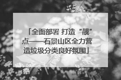 全面部署 打造“靓” 点——石景山区全力营造垃圾分类良好氛围
