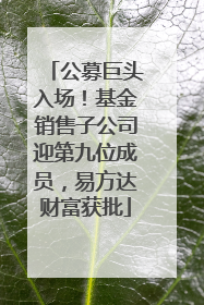 公募巨头入场！基金销售子公司迎第九位成员，易方达财富获批