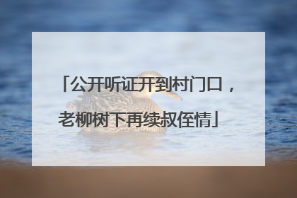 公开听证开到村门口，老柳树下再续叔侄情