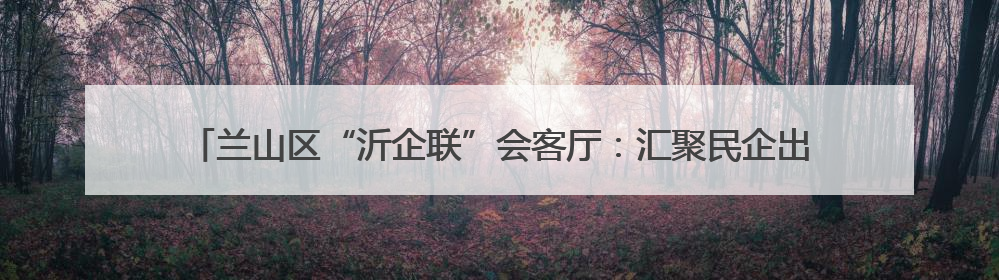 兰山区“沂企联”会客厅：汇聚民企出海新动能，打造跨境发展“强磁场”