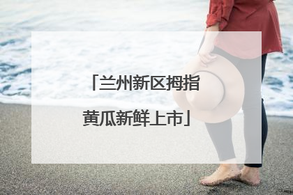 兰州新区拇指黄瓜新鲜上市