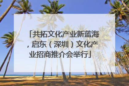 共拓文化产业新蓝海，启东（深圳）文化产业招商推介会举行