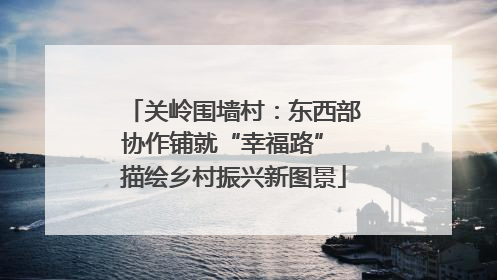 关岭围墙村：东西部协作铺就“幸福路” 描绘乡村振兴新图景