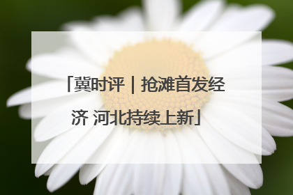 冀时评｜抢滩首发经济 河北持续上新
