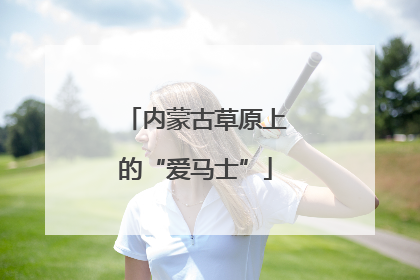 内蒙古草原上的“爱马士”