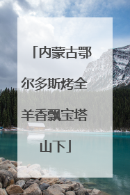 内蒙古鄂尔多斯烤全羊香飘宝塔山下