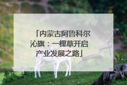 内蒙古阿鲁科尔沁旗：一棵草开启产业发展之路