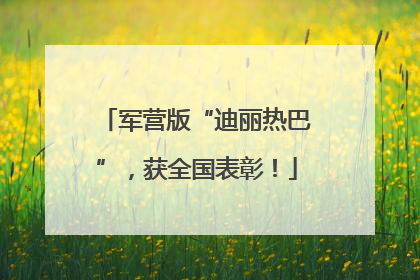 军营版“迪丽热巴”，获全国表彰！