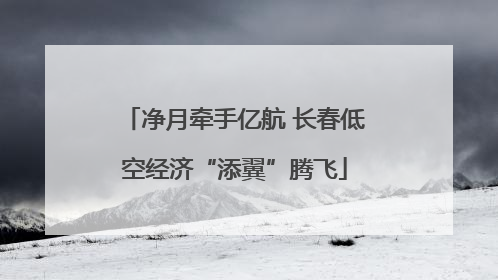 净月牵手亿航 长春低空经济“添翼”腾飞