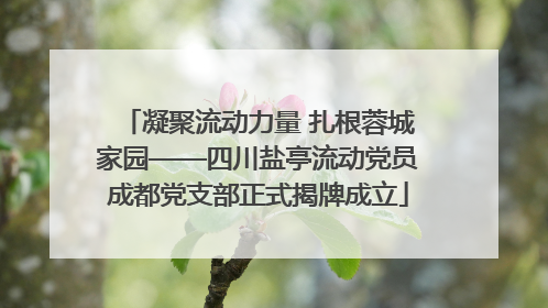 凝聚流动力量 扎根蓉城家园——四川盐亭流动党员成都党支部正式揭牌成立