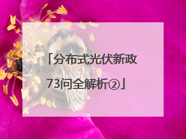 分布式光伏新政73问全解析②