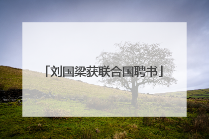 刘国梁获联合国聘书