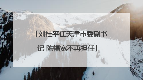刘桂平任天津市委副书记 陈辐宽不再担任
