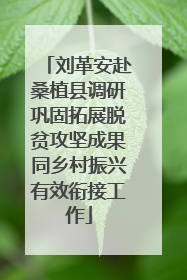 刘革安赴桑植县调研巩固拓展脱贫攻坚成果同乡村振兴有效衔接工作