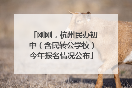 刚刚，杭州民办初中（含民转公学校）今年报名情况公布