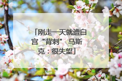 刚走一天就遭白宫“背刺” 马斯克：很失望