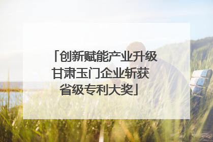 创新赋能产业升级 甘肃玉门企业斩获省级专利大奖