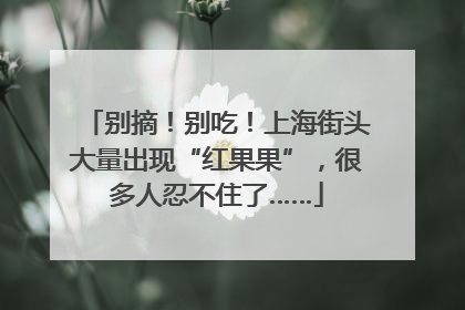 别摘！别吃！上海街头大量出现“红果果”，很多人忍不住了……